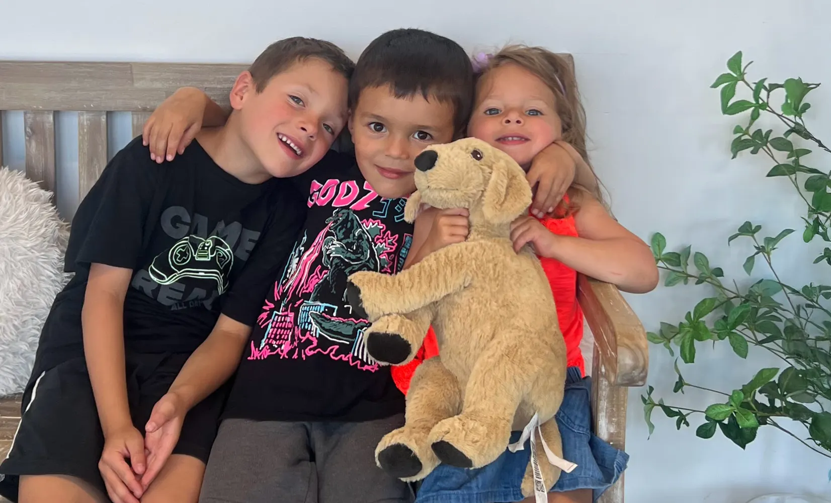 Chiropractic Park Ridge IL Three Kids Mobile